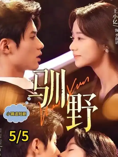 归途列车 电视剧全集在线观看